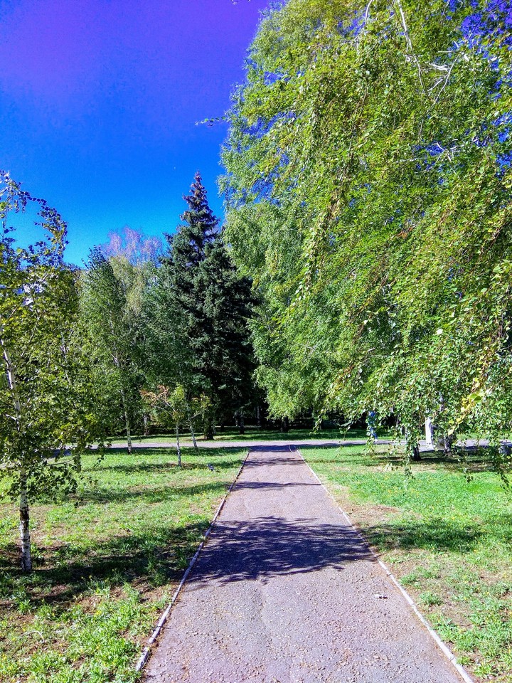 тёплый день