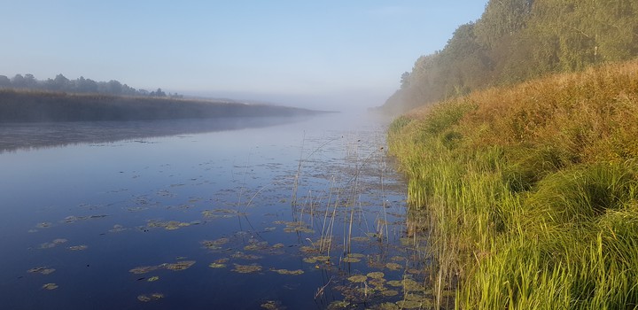 На заре