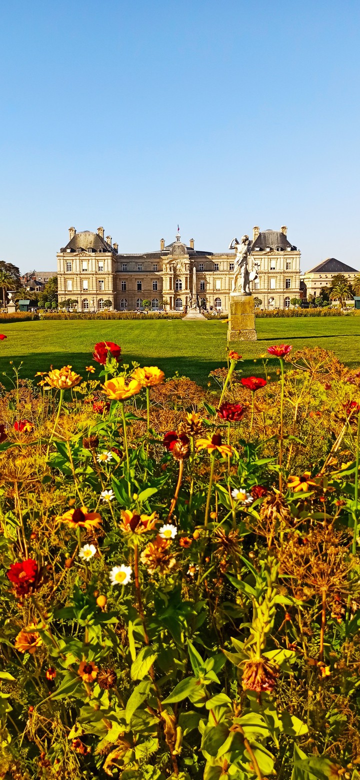 Doux parfum d'automne