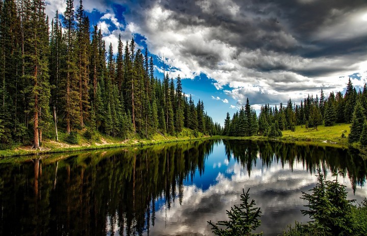 nature