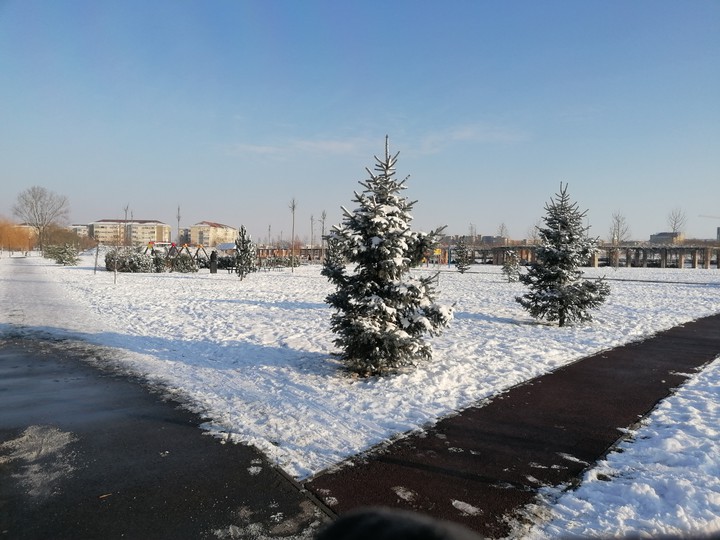 winter