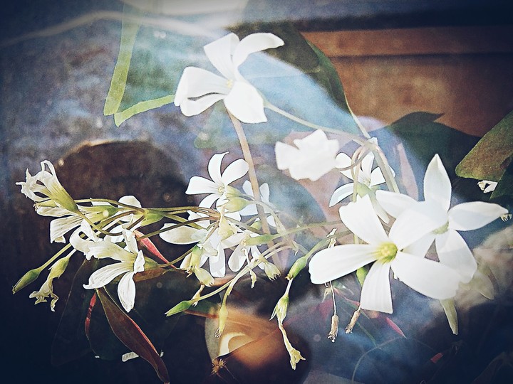 Just Spring