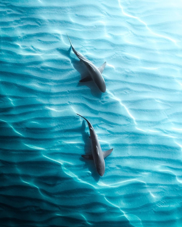 Pacific