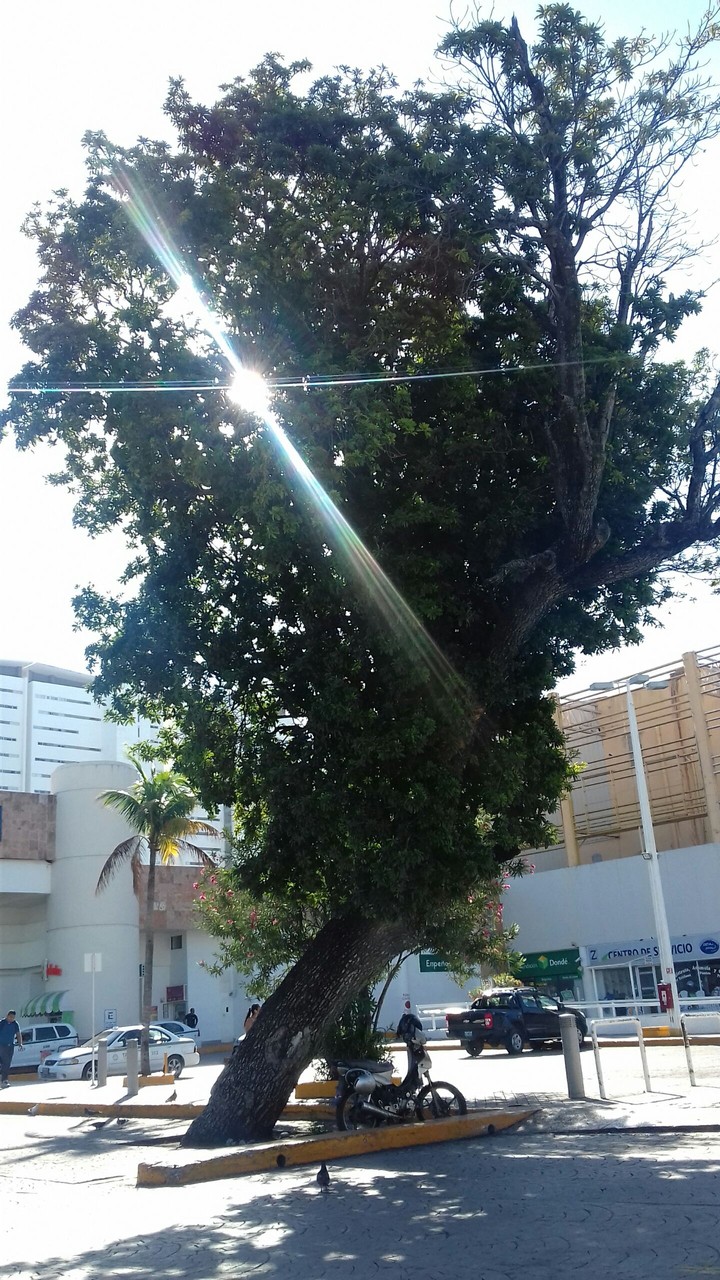 Rayos de sol