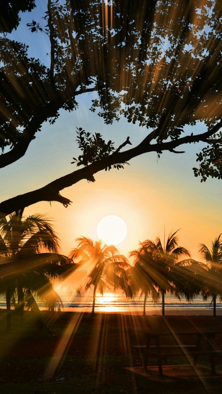 O nascer do sol