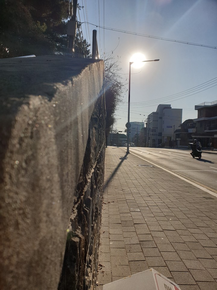 담벼락