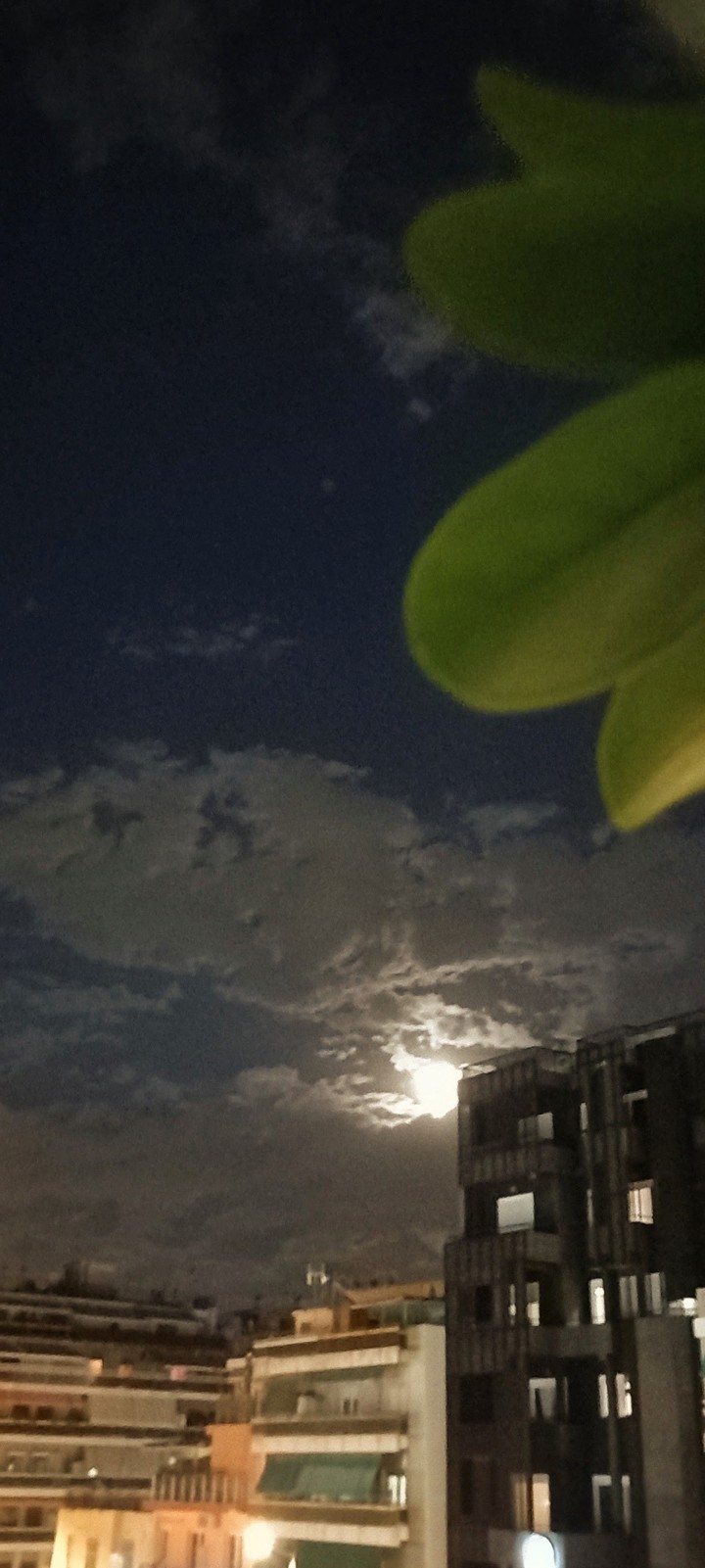 Nocturnal hues (Kallithea, Athens)