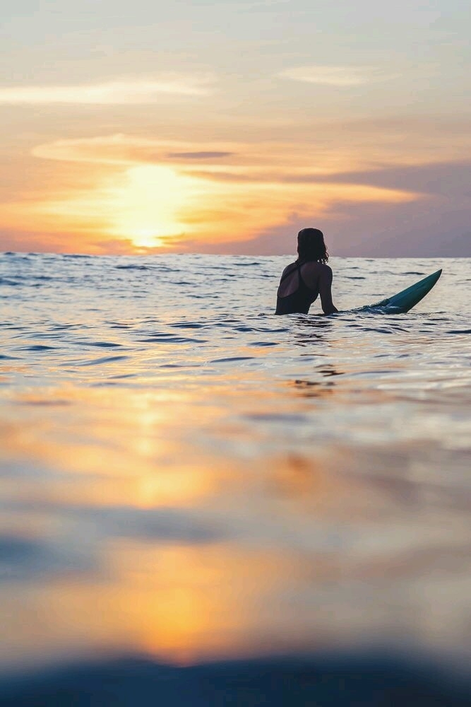 surf