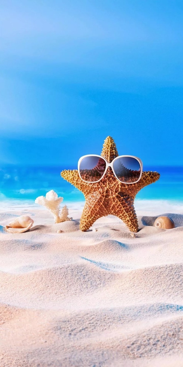 star fish