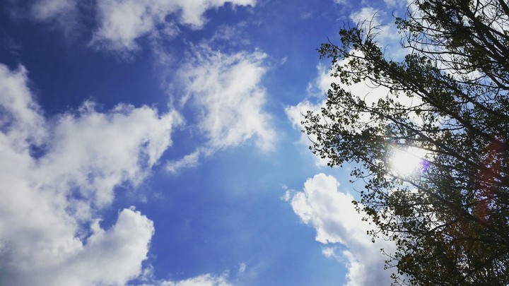 Skydrive