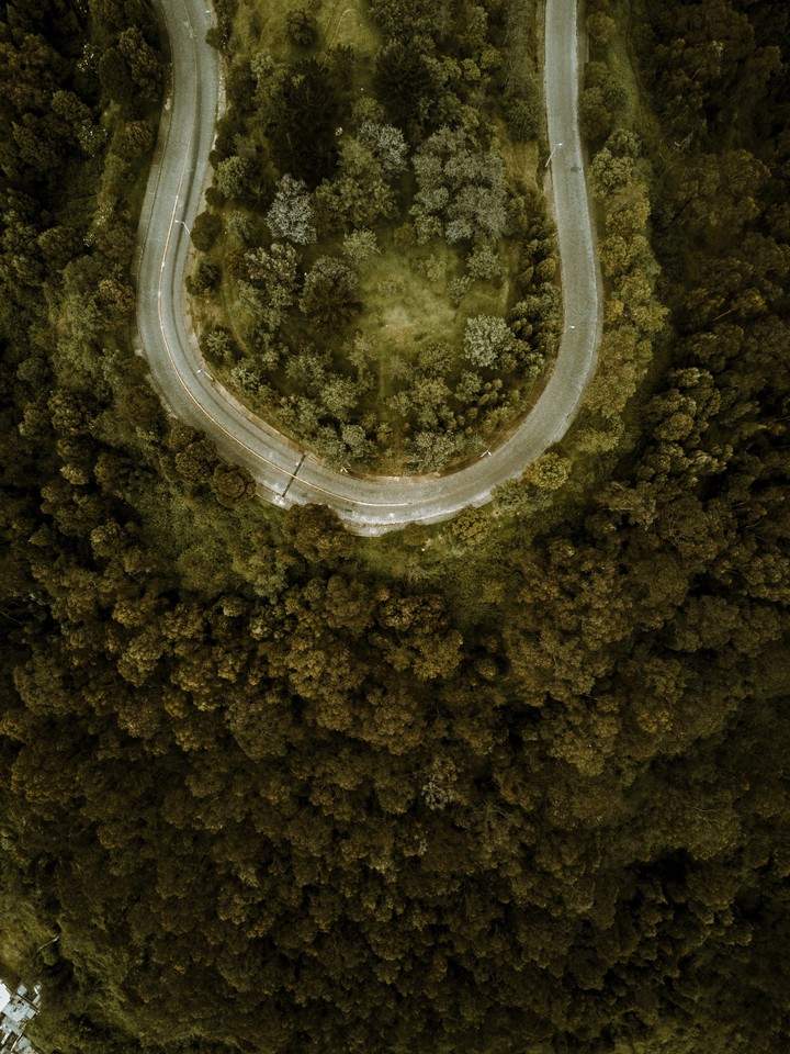 road forest aerial view 145227 2992x3992