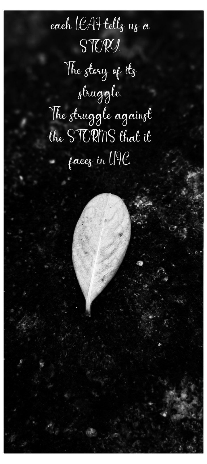 EACH LEAF TELLS US A STORY