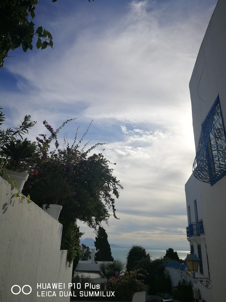 Sidi Boussid, TUNISIA
