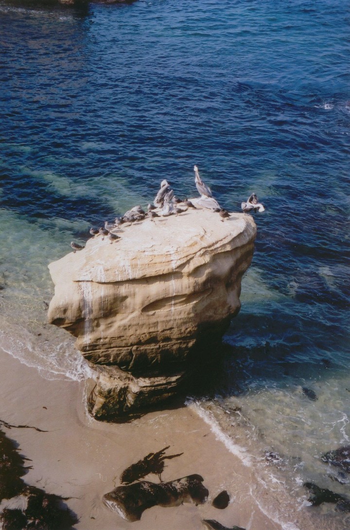 Rock on the Pacific Ocean
