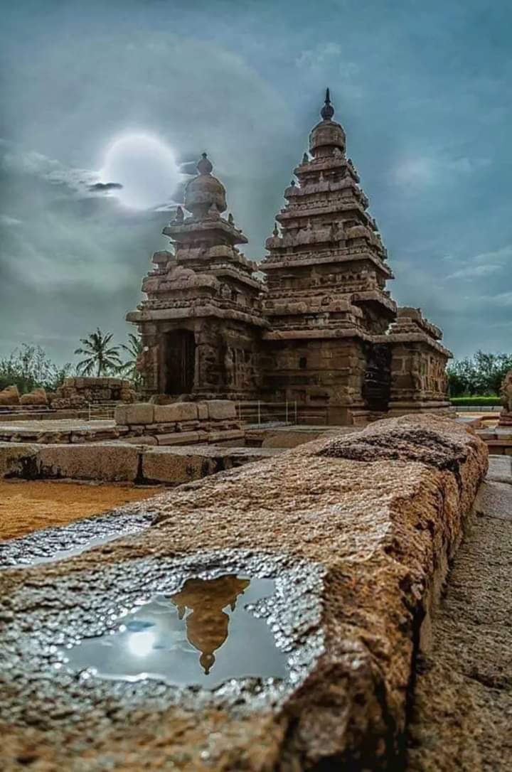 natural#ashok