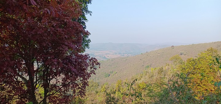 nature