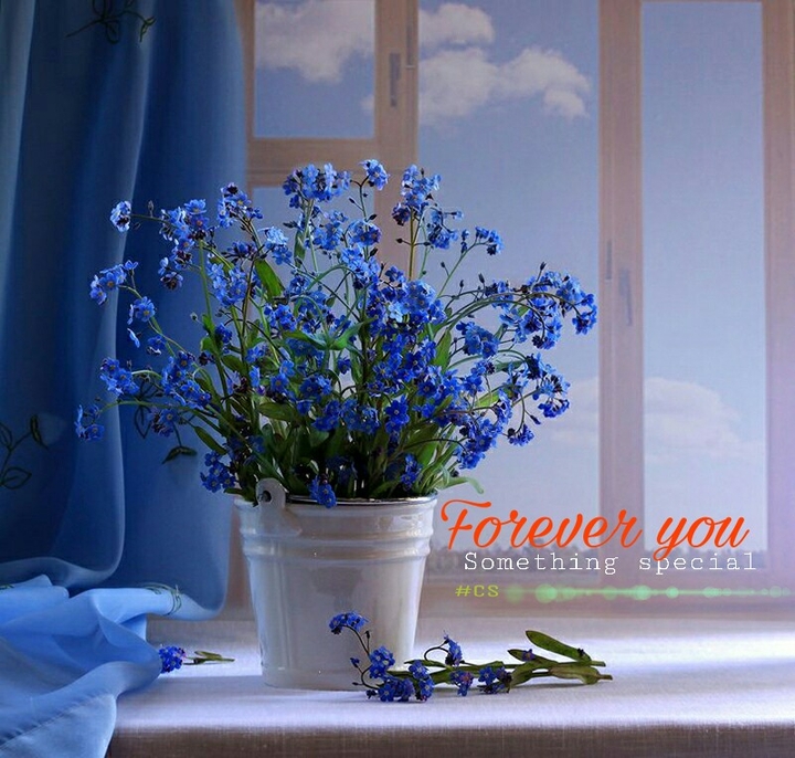 love forever you
