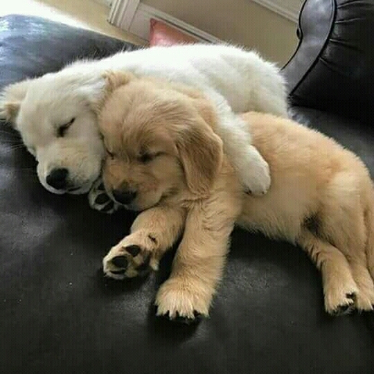 sleeping