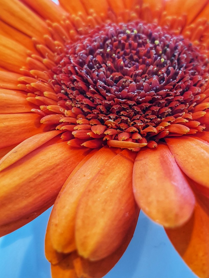 Orange sun