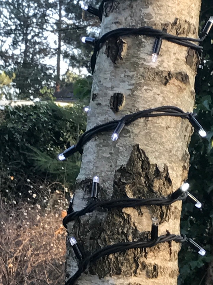 Christmas tree