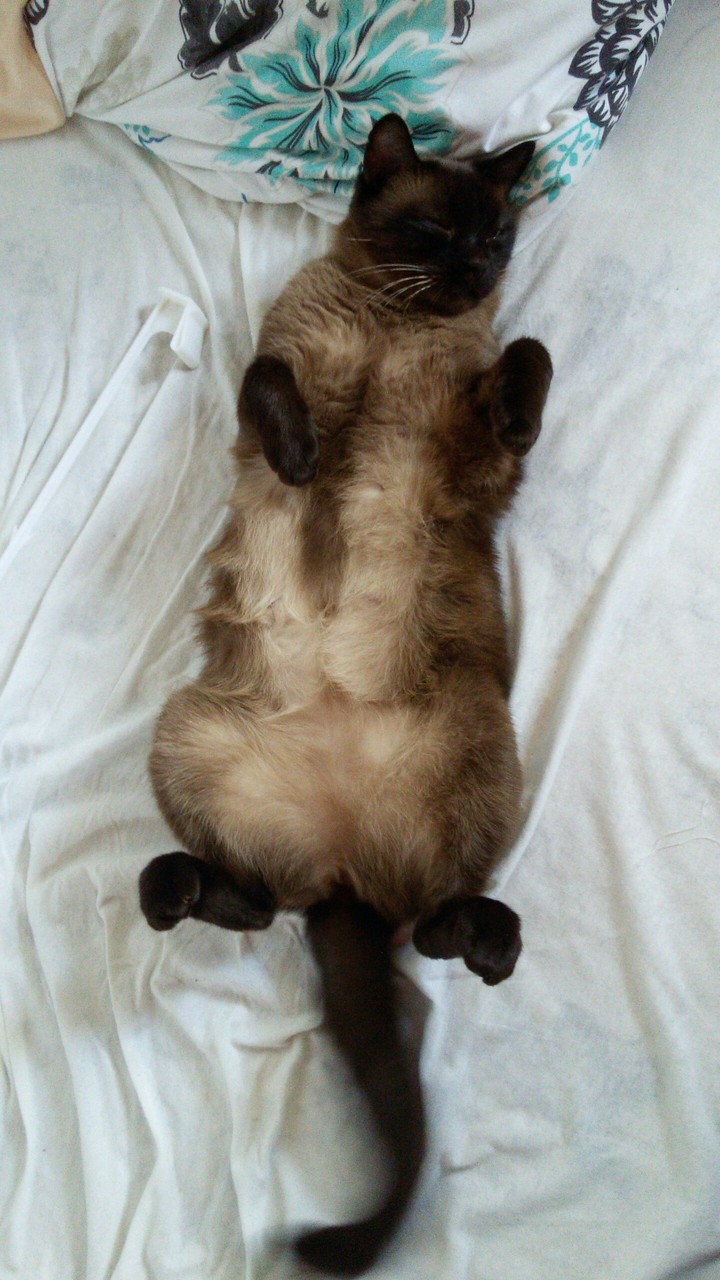Mila <3