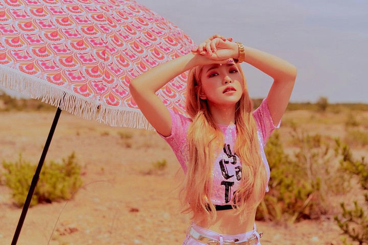 Red Velvet*