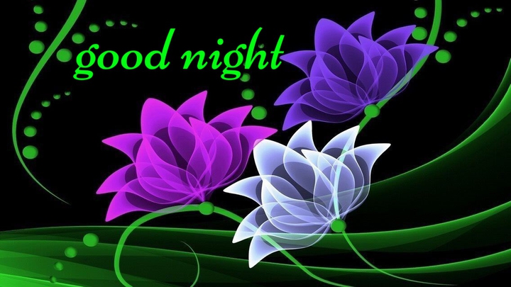 Good Night