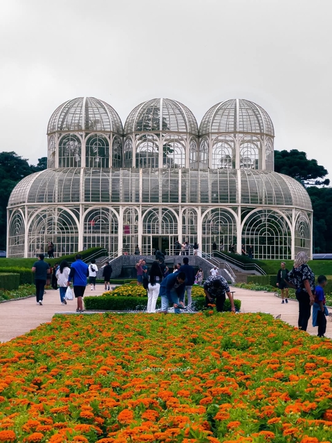 My love Curitiba
