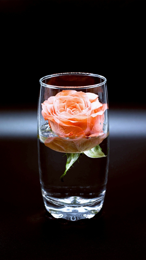 stemware, tableware वॉलपेपर