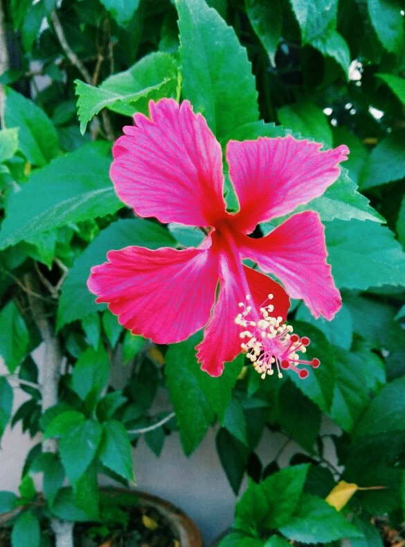 Beauty of Nature
