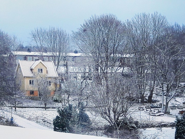 Winter