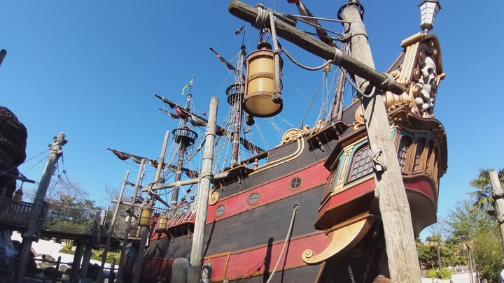 parrot ship