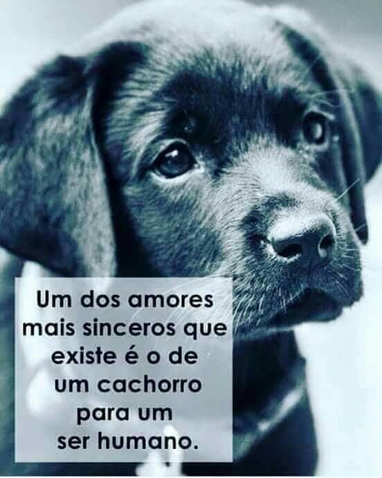 Melhor amigo