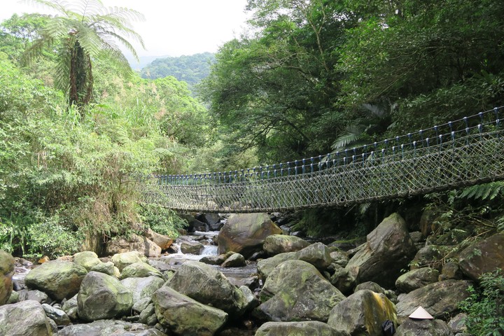 Suspension bridge