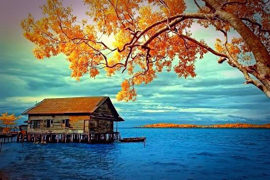 autumn