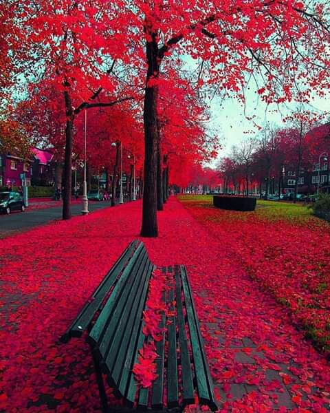 Autumn