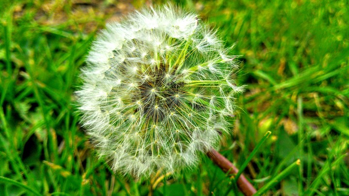 aa