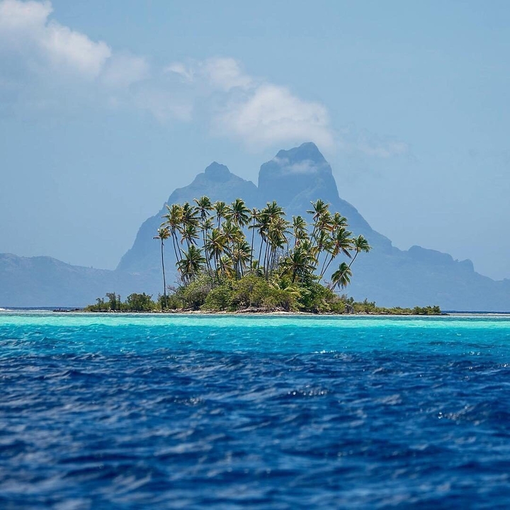 Paradise Island