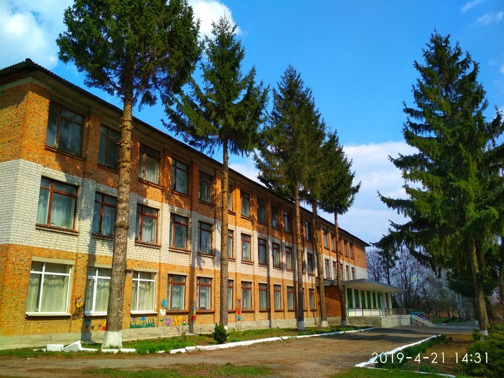 School