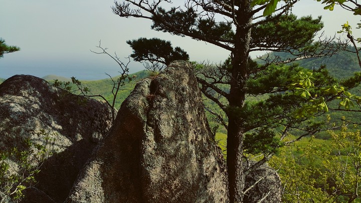 Прогулка