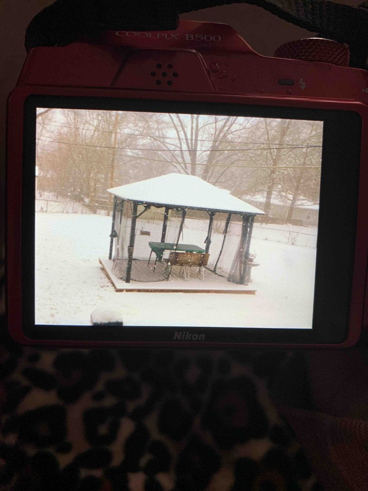 winter wonderland