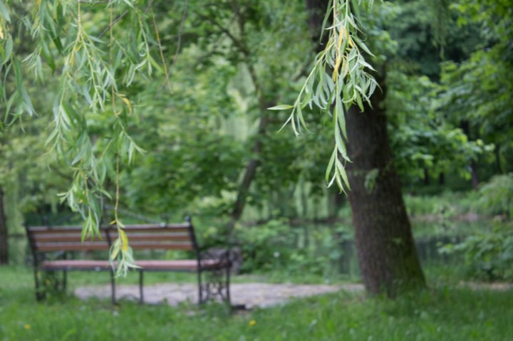 Natur 