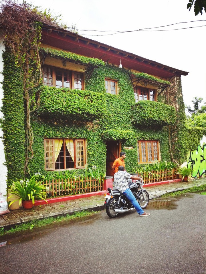 the green house