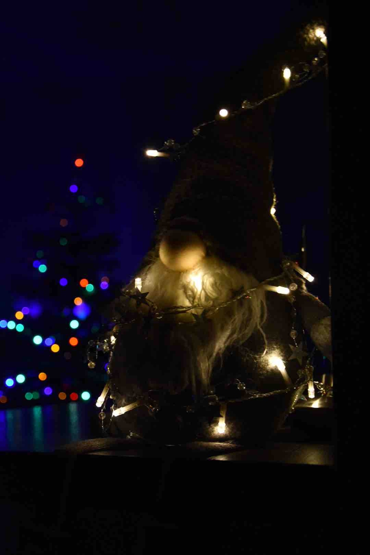 Christmas gnome