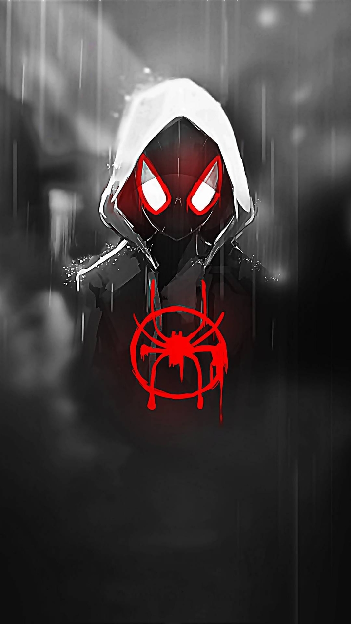 Spiderman /mills morlies