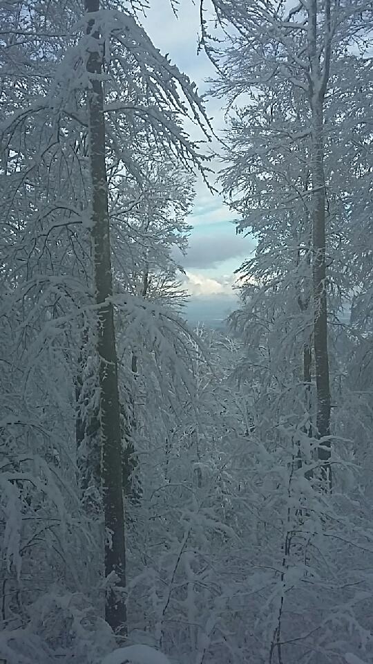 bourbach en hivet