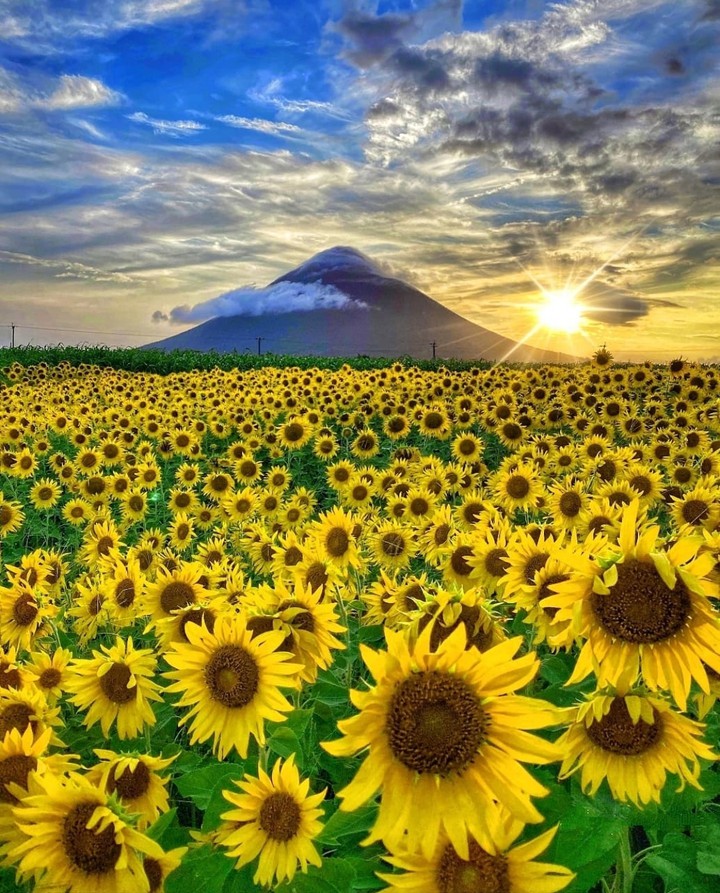Japan...