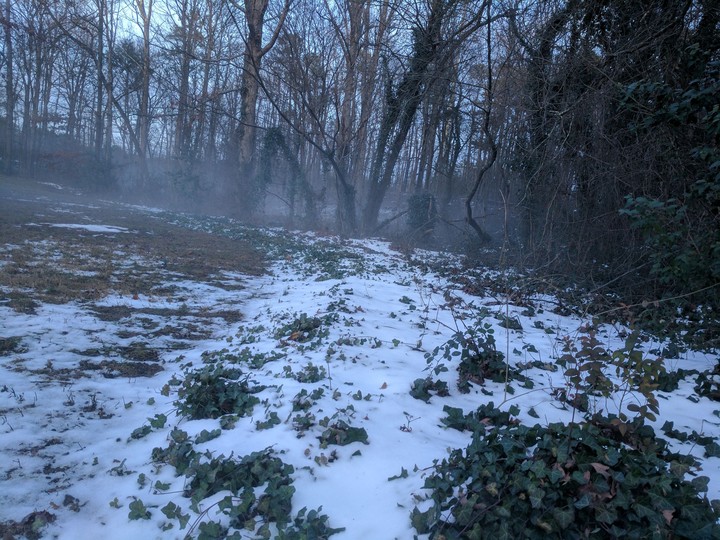 Eerie Fog & Snow