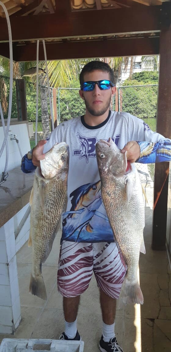 Big fish