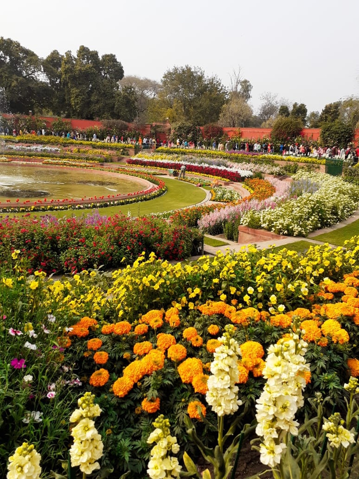 Moghul Garden